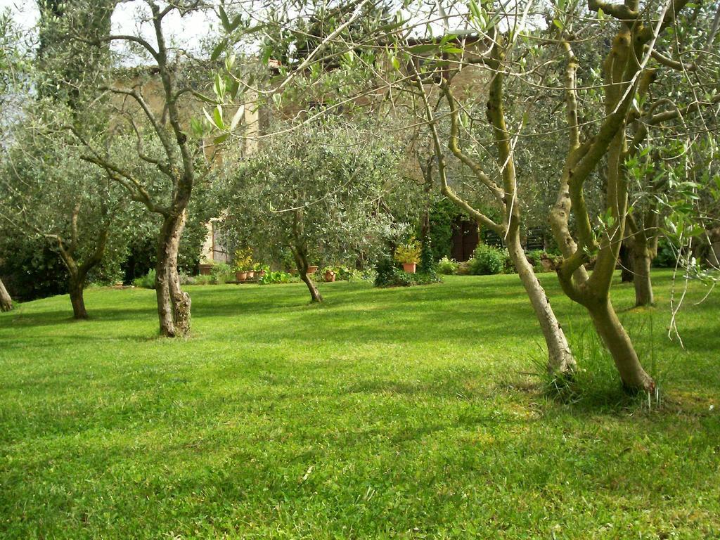 Podere Il Caggio Rooms San Gimignano Bagian luar foto