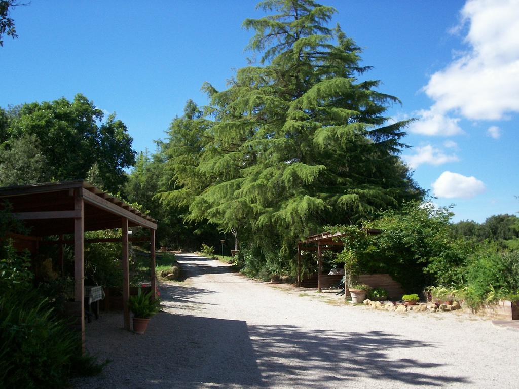 Podere Il Caggio Rooms San Gimignano Bagian luar foto